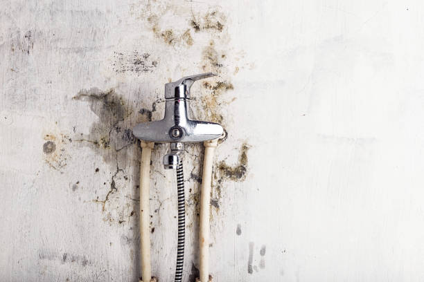 Brooklawn, NJ Mold Removal Company