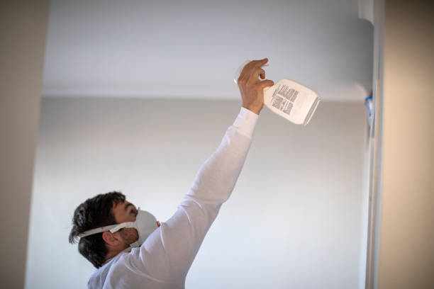 Best Mold Removal and Inspection  in Brooklawn, NJ