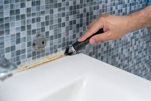 Best Certified Mold Removal  in Brooklawn, NJ
