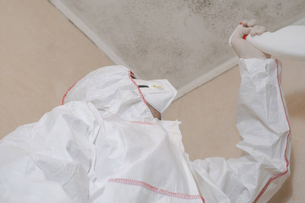 Best Attic Mold Removal  in Brooklawn, NJ