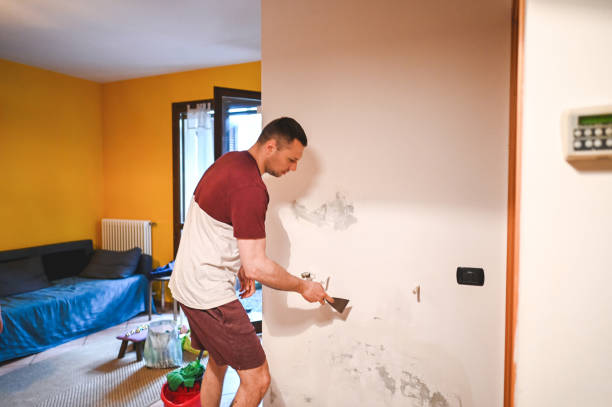 Best Fast Mold Removal  in Brooklawn, NJ